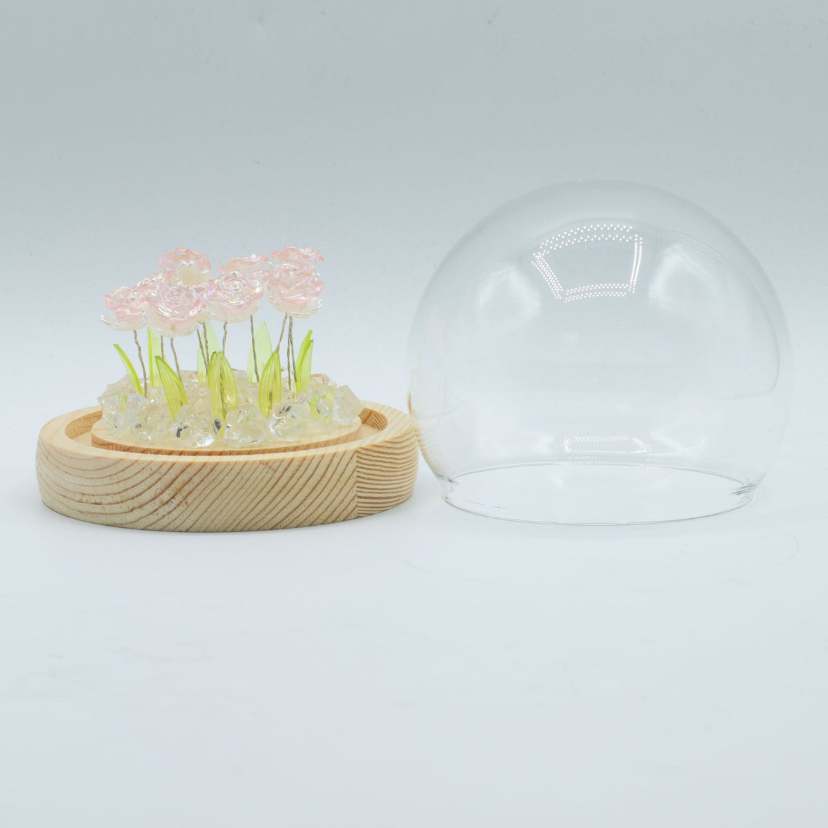 Domo de jardim Floral Glow - 10 rosas cor-de-rosa - LED USB
