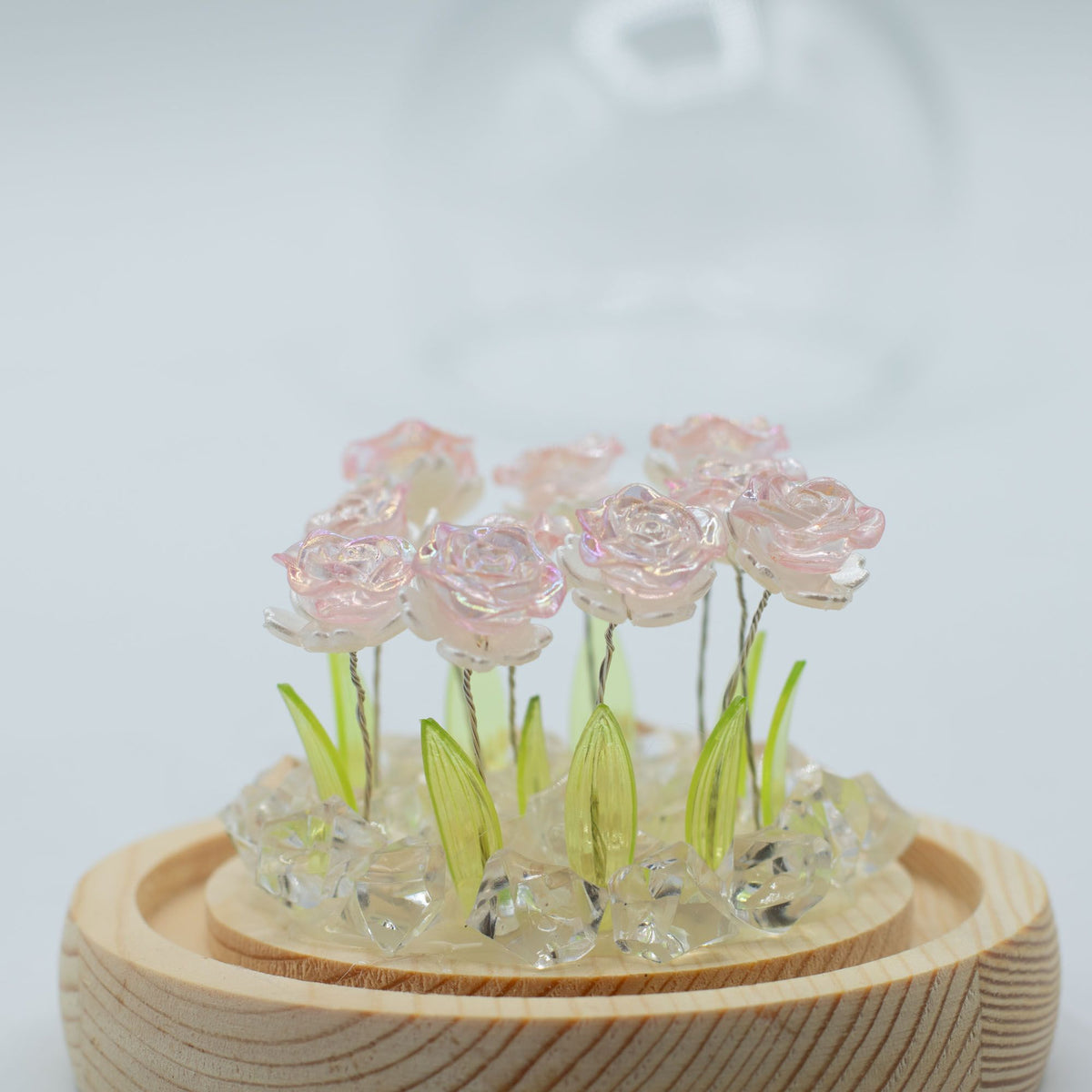 Domo de jardim Floral Glow - 10 rosas cor-de-rosa - LED USB